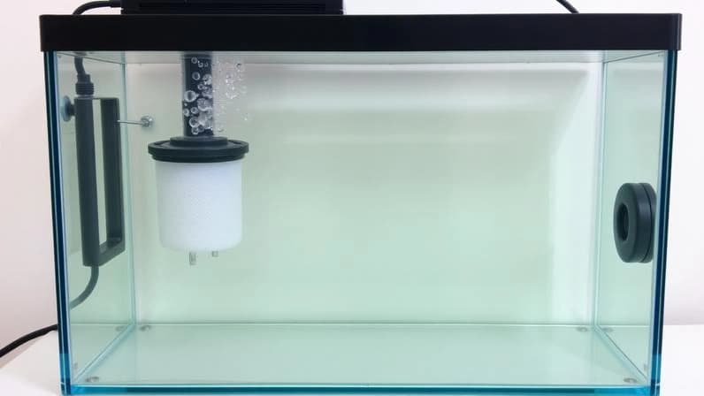 Simple budget quarantine aquarium tank with sponge filter, heater, and clear water.