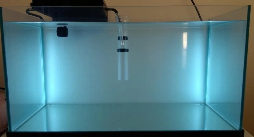 Proper aquarium setup with clear water to help prevent cloudy water issues